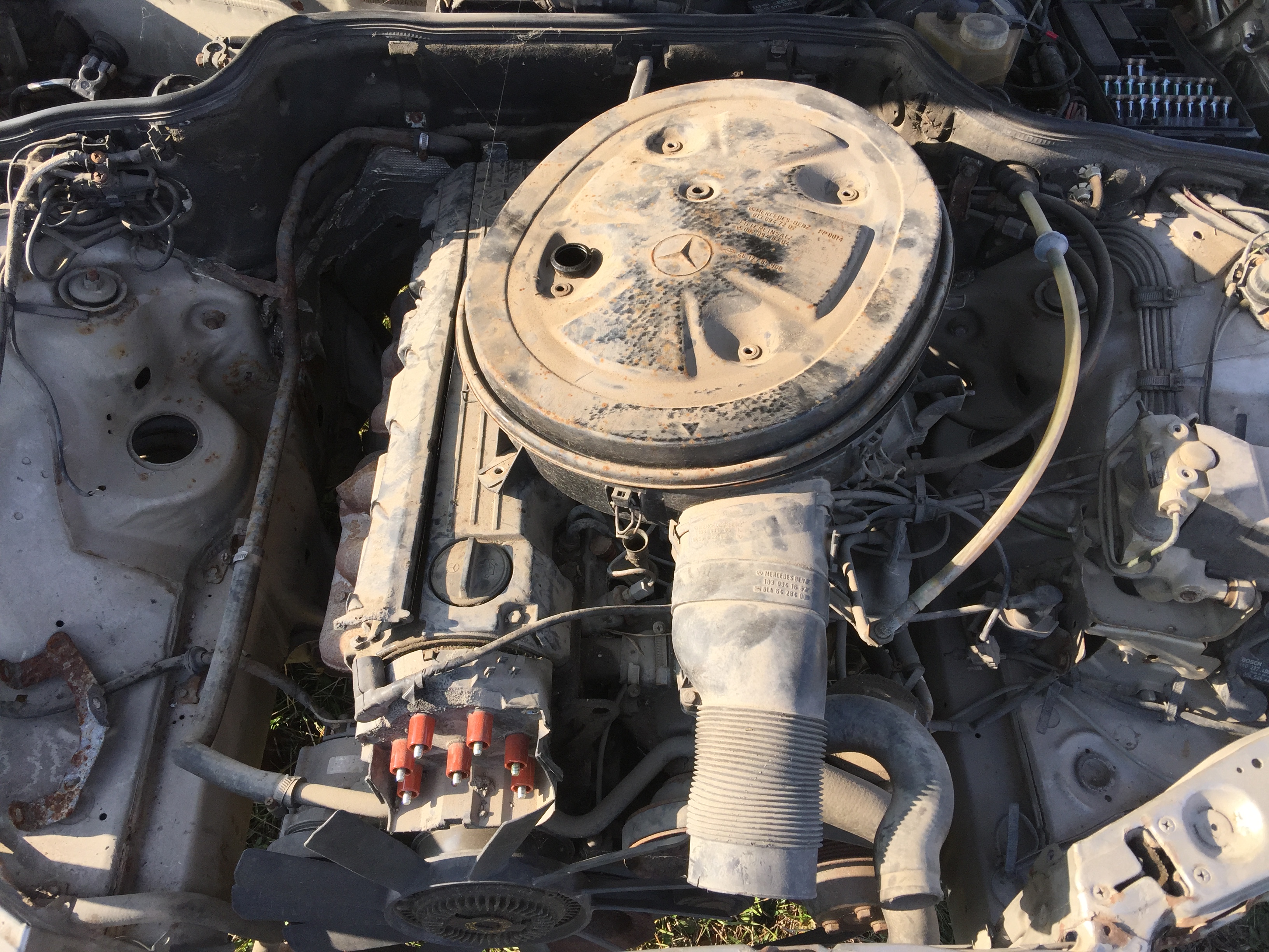 2016-10-28 15.02.04.jpg