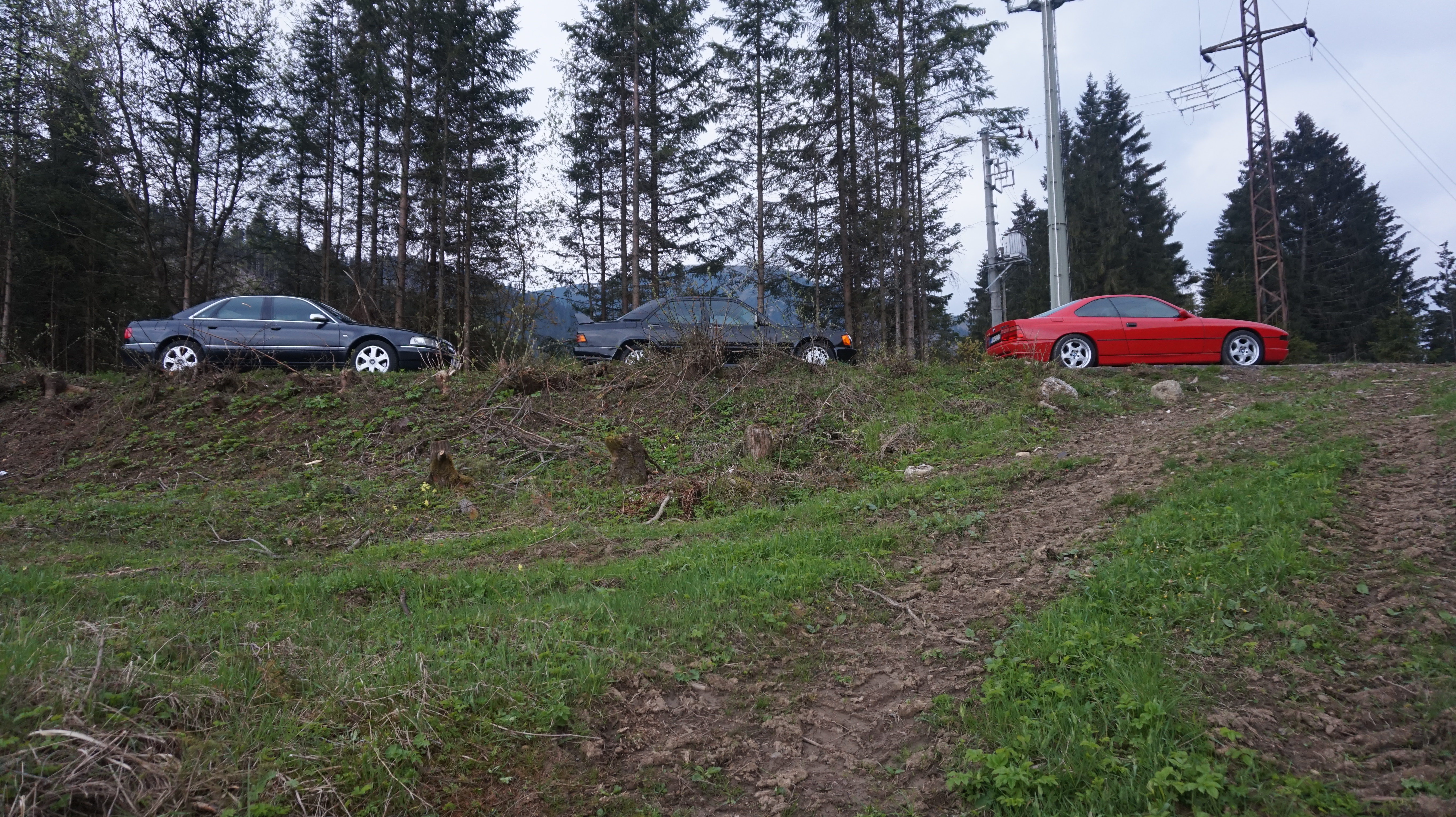 DSC02967.JPG