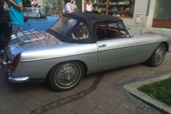 IMG_0451 - kópia (2)